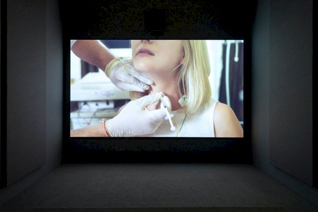 MARIANNA SIMNETT, The Needle and the Larynx, 2016, as installed in The Body Electric. Photo Bobby Rogers