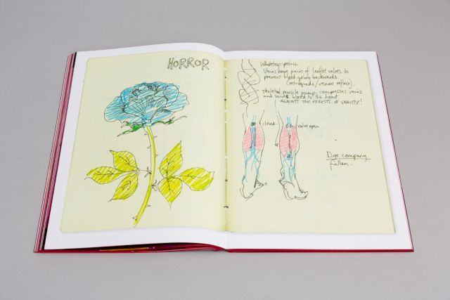 Marianna Simnett Publication. Courtesy Zabludowicz Collection