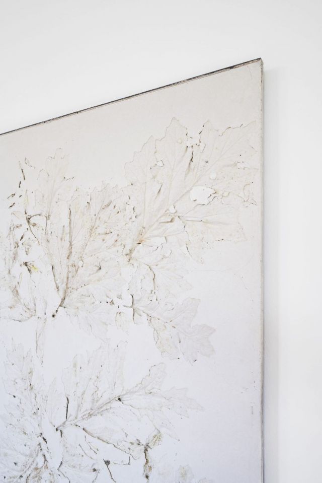 ALESSANDRO PIANGIAMORE, Ieri Ikebana 030520192, 2019. Installation view of Ossessione at Palazzo Monti, 26.10 – 07.12, 2019