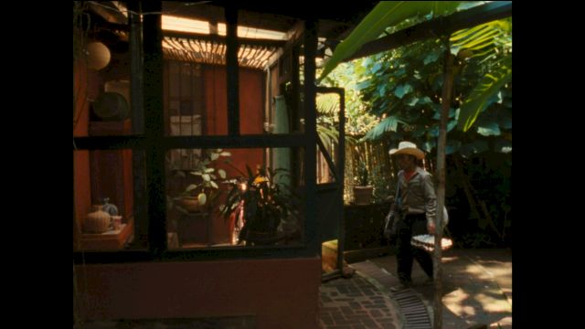 ROSALIND NASHASHIBI, Vivian’s Garden, 16 mm film, 2017. Photo: Courtesy of Grimm Gallery