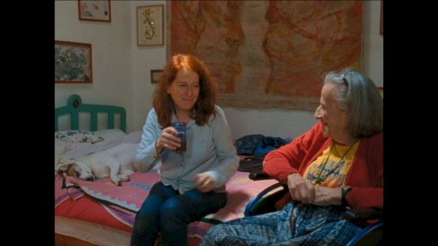 ROSALIND NASHASHIBI, Vivian’s Garden, 16 mm film, 2017. Photo: Courtesy of Grimm Gallery