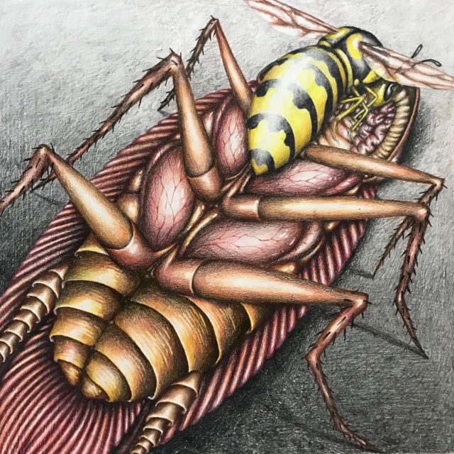 Samantha Rosenwald, Succubus, 2020, coloured pencil on canvas, 35,5 × 35,5 cm