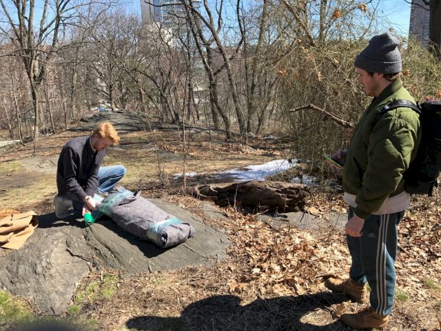 Thomas Huston, Standard Moving Blankets for The Stolbun Collection, 2016-17, Home Depot Standard Moving Blankets, (Documentation of Huston wrapping Brad Troemel’s Counterfeit and Real Princess Di Beanie Baby for transportation in one of his blankets - Troemel also pictured)