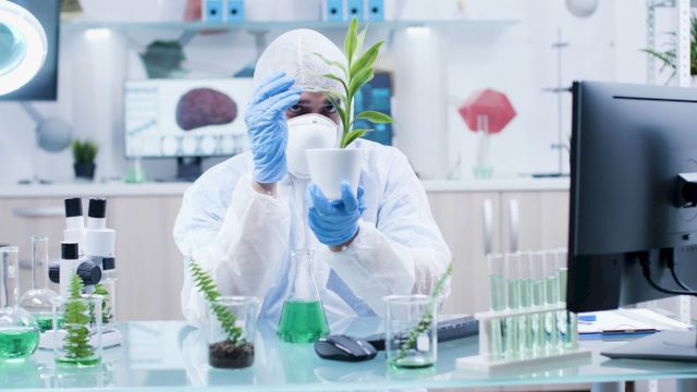 LARESA KOSLOFF, Radical Acts, 2020 (detail). 4K video (stock footage), 7:29 duration. © the artist. Light Source commission, Buxton Contemporary, The University of Melbourne, 2020