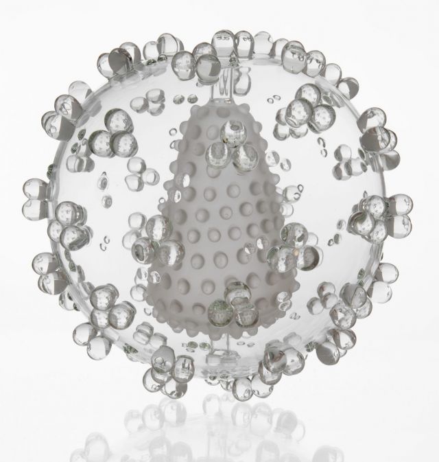 Luke Jerram, HIV, 2010, blown glass, lampworked. Photo: H.-J. Becker. © Alexander Tutsek-Stiftung
