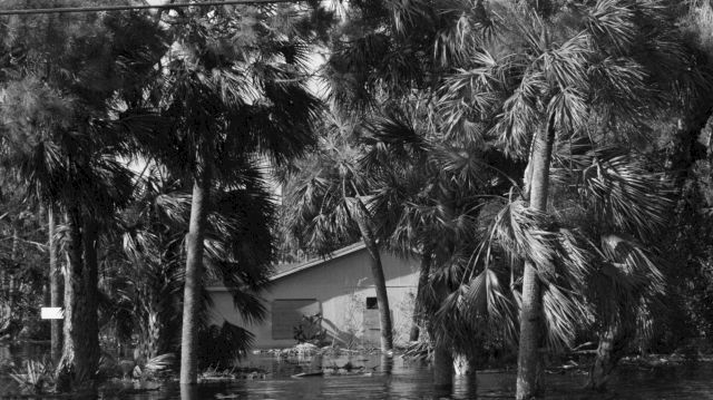 Julius von Bismarck Irma, To Come In Earnest, 2017 (still). HD video, sound, 44 min. Courtesy the artist and lexander levy, Berlin