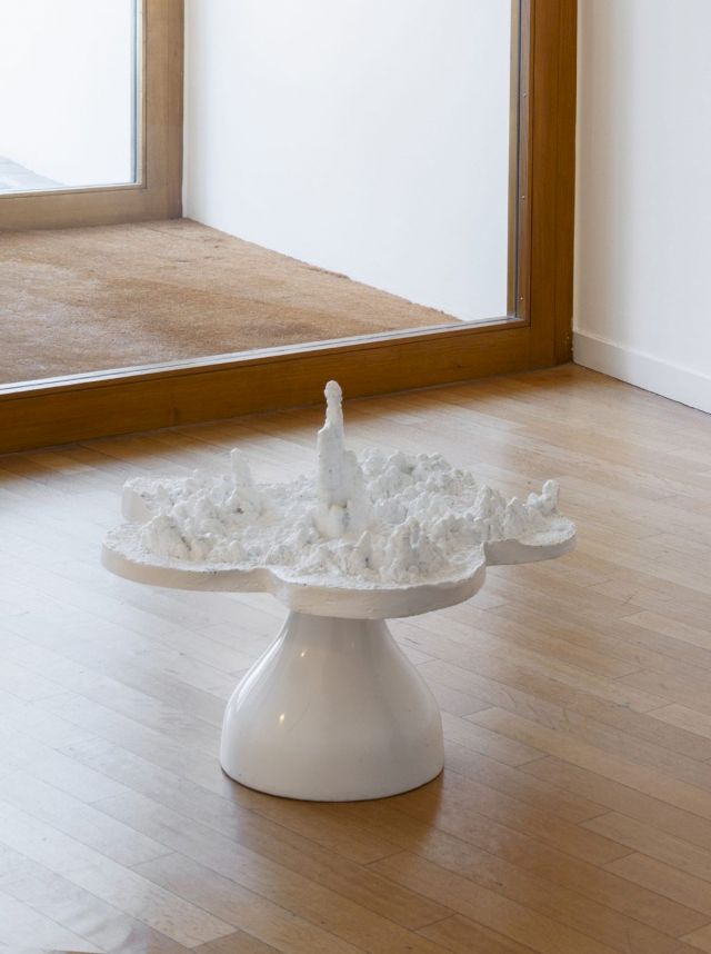 HELEN CHADWICK, Piss Flowers, 1991-92. Photo: Nici Jost