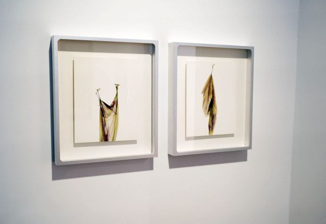 Installation view “About Us. Young Photography from China” with works by Jiang Pengyi. Photo: Marion Vogel © Alexander Tutsek-Stiftung