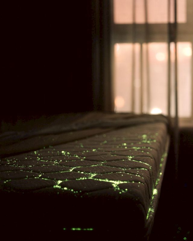 JIANG PENGYI, Everything Illuminates No. 3, 2012. © Jiang Pengyi. Courtesy of Jiang Pengyi & Blindspot Gallery