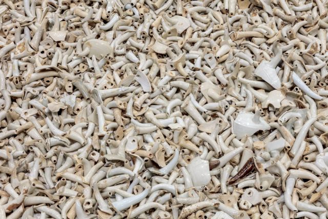 AI WEIWEI, Spouts, 2015 (detail). Courtesy the artist and Marciano Art Foundation. Photo: Joshua White/JWPictures.com