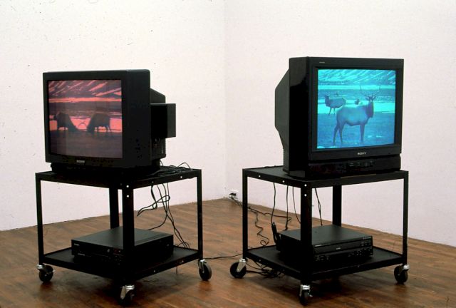 DIANA THATER, Pape's Pumpkin, 1994. © Diana Thater