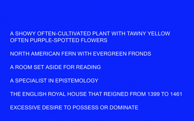 DAMON ZUCCONI, dictionary.blue, 2016