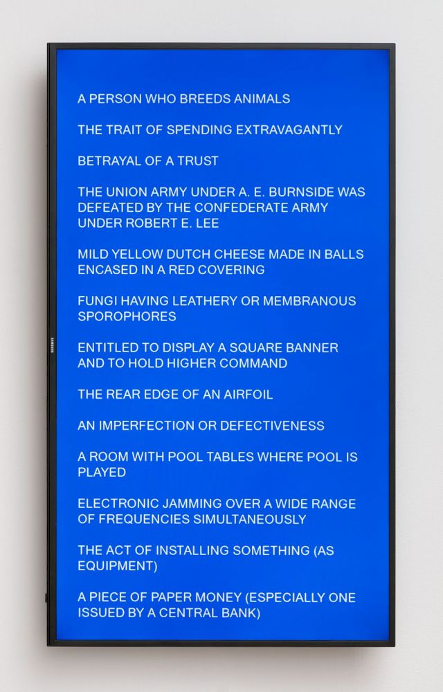 DAMON ZUCCONI, dictionary.blue, 2016