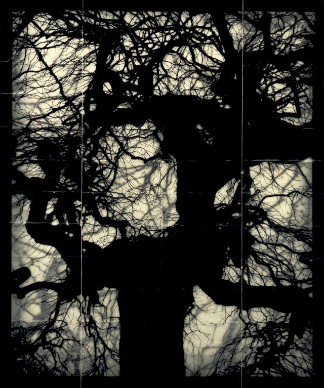 DOUGLAS & MICHAEL STARN, Structure of Thought #11, 2001-2005