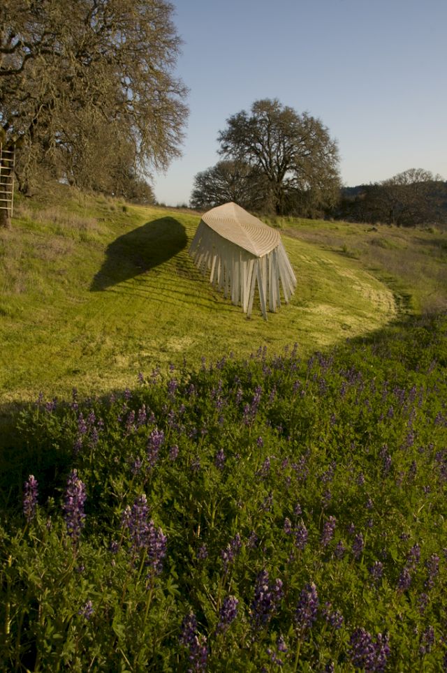 ROBERT STACKHOUSE, Russian River Bones, 1989