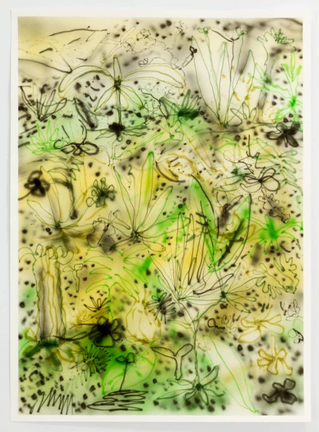 FABIAN TREIBER, Chula Vista, 2017