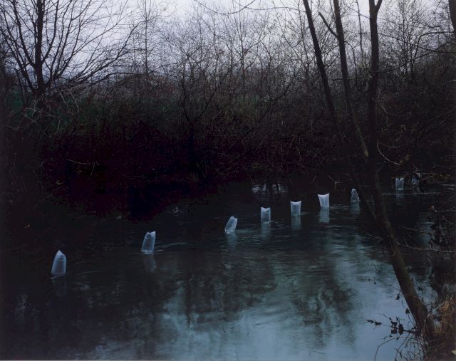 IRWIN Like to Like, water, air, 2004