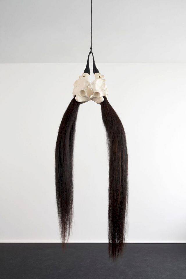 YVONNE ROEB, Midnight Rider, 2009