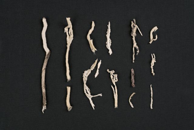 YVONNE ROEB, Fulguriten, 2012. Photo: Joachim Schulz