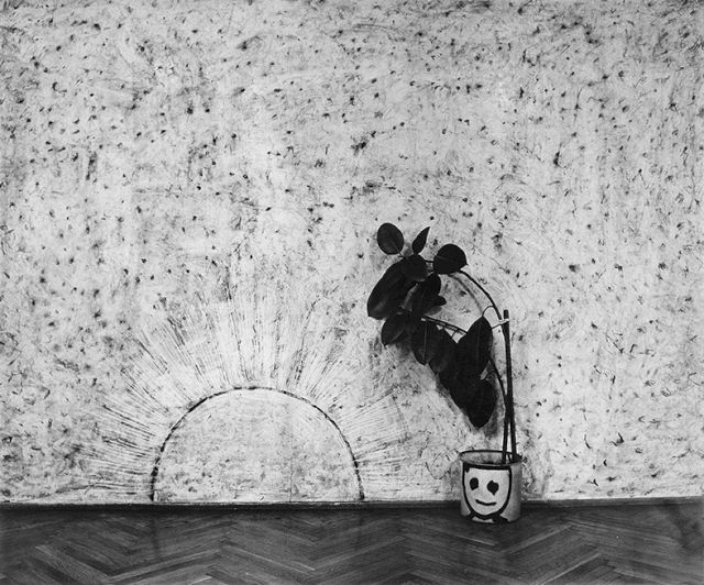 NEŠA PARIPOVIĆ, Zid, 1989