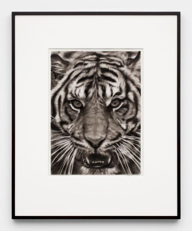 ROBERT LONGO, Study for Tiger Head (No. 4a), 2011. Photo: Hugard & Vanoverschelde Photography