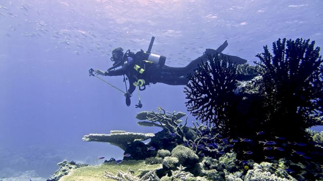 TBA21 The Current director Markus Reymann filming underwater on a dive site called Black and Silver near Tuboa Island, Milne Bay, Papua New Guinea