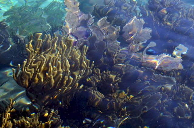 JANA WINDEREN, bára, 2017. Commissioned by TBA21–Academy, London. Photo: the artist, TBA21–Academy