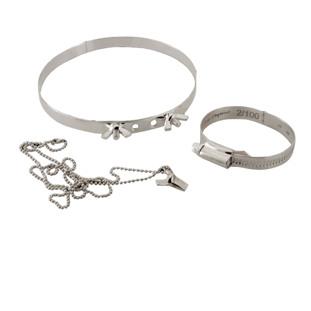 DINOS AND JAKE CHAPMAN, Wingnut and Bolt Chocker, Jubilee Clip, 2010, Collection Diane Venet