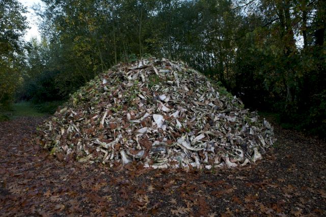 HERMAN DE VRIES, in memoriam de koeien, 2015-2017. Photo: Tineke Schuurmans