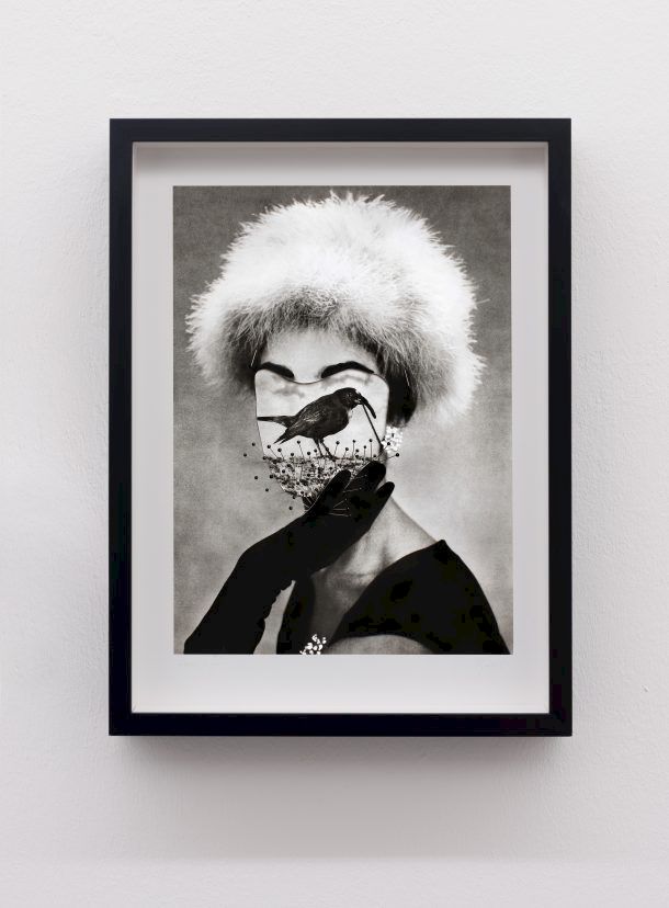 ULLA JOKISALO, Collector, Keräilijä, 2015