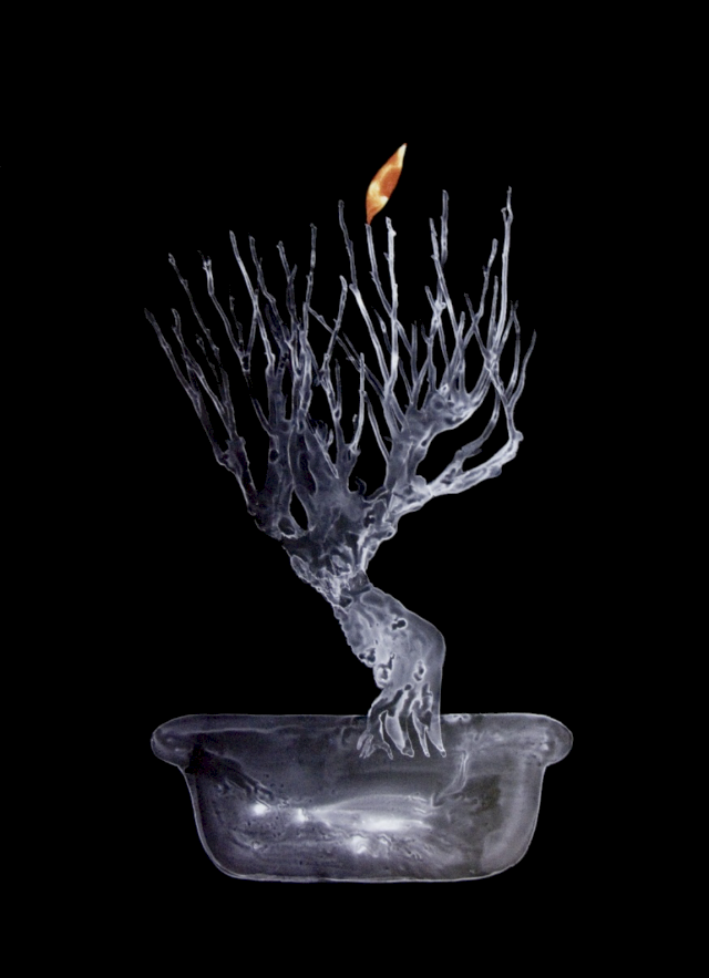 NEHA CHOKSI, Lone Orange, 2008