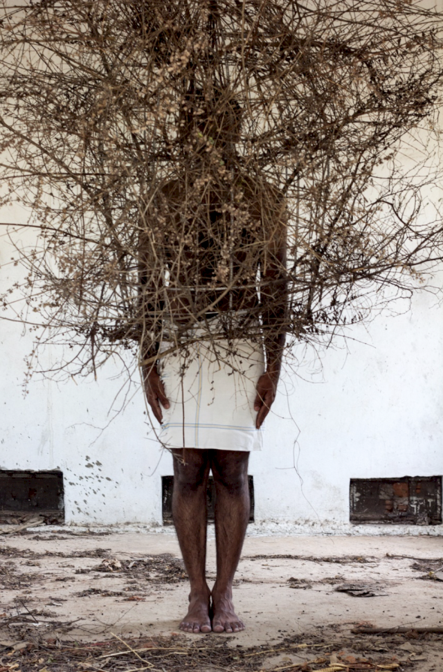 MADHU DAS, Gifts Of Earth, 2013