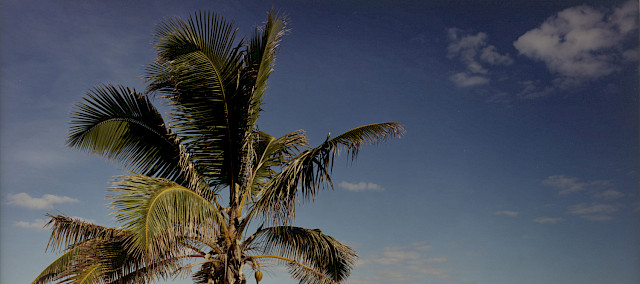 CHRISTOPHER WILLIAMS, Punta Hicacos, Varadero, Cuba, February 14, 2000, 2000. Courtesy of David Zwirner, New York and London. © Christopher Williams