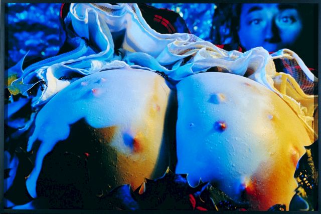 Cindy Sherman, Untitled, 1987