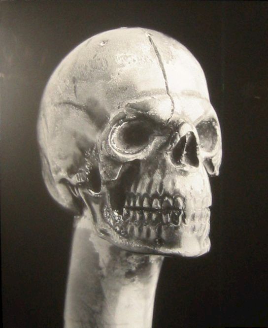 ROBERT MAPPLETHORPE, SKULL, 1988