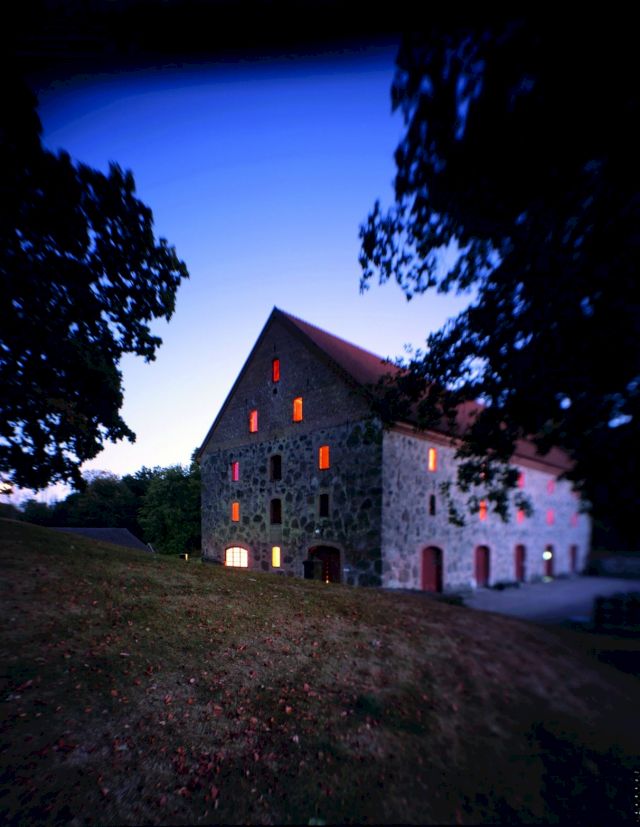 Ann Hamilton, lignum, 2002. Photo Thibault Jeansen. Permanent collection