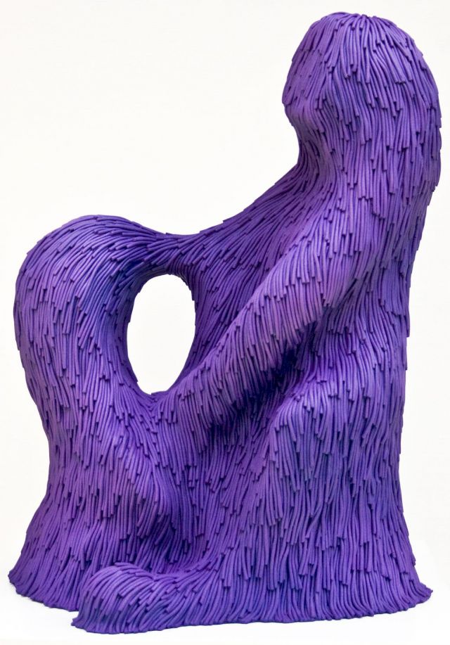 CARL D ALVIA, Bradypus, 2008