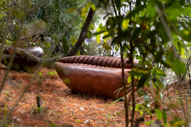 Ioane Ioane, Malosi, 2021