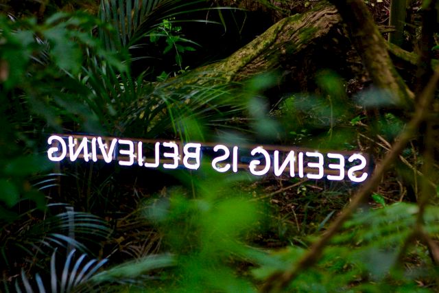 Mary Louise Browne, Seeing is Believing, 2014