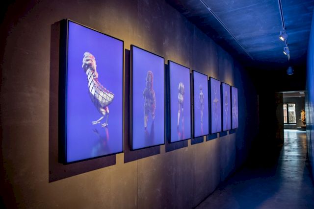 SMACK, TRIBE - GOLDEN CIRCLE CHARACTERS, 2022, installation view