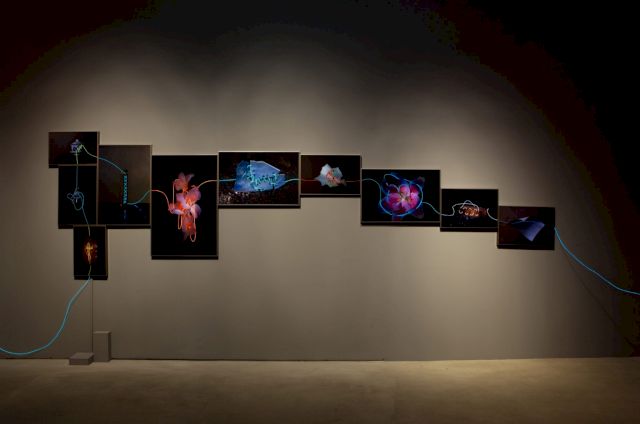 Hu Weiyi, Flirt, mixed media installation, 2014