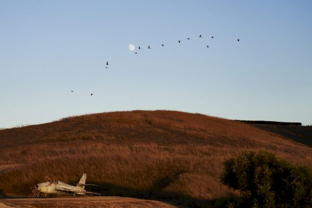 Anselm Kiefer, Mohn und Geda êchtnis, 2017. Image: Adrian Gaut