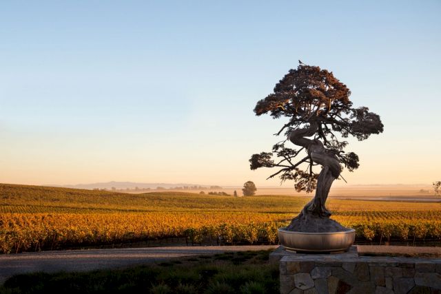 Marc Quinn, Held by Desire (The Dimensions of Freedom), 2017. Image: Robert Berg