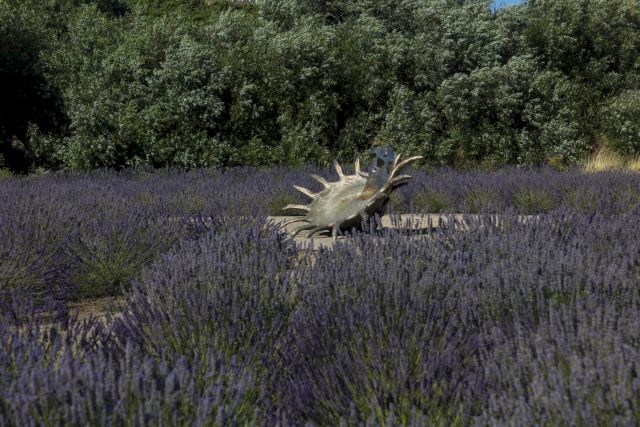 Marc Quinn, The Architecture of Life, 2013. Image: Robert Berg