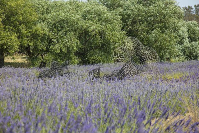 Sopheap Pich, Morning Glory, 2017. Image: Robert Berg