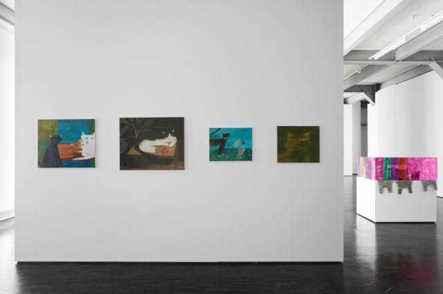 Braunsfelder, Gute Nacht installation view