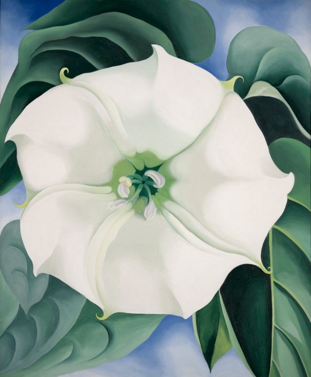 GEORGIA O’KEEFFE, PELVIS WITH THE DISTANCE, 1943. Oil on canvas, 60.6 x 75.6 cm.
Indianapolis Museum of Art at Newfields, Gift of Anne Marmon Greenleaf in memory of Caroline Marmon Fesler,
© Georgia O’Keeffe Museum / 2021, ProLitteris, Zurich