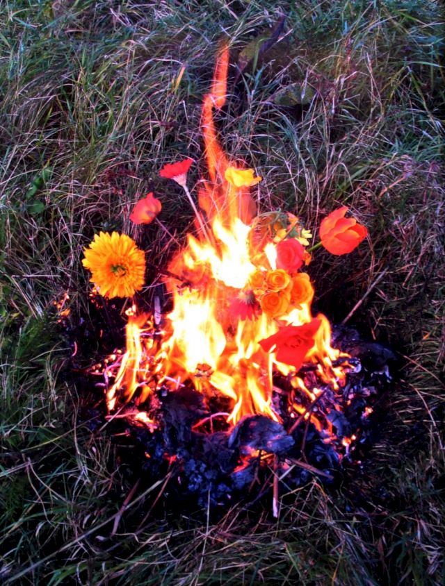 ELSPETH DIEDERIX, Fire Still Life, 2004