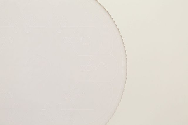 NAZGOL ANSARINIA, Untitled V, from the “Nonflammable, Non-stick, Non-stain” series, 2010. Photo: Antonis Minas