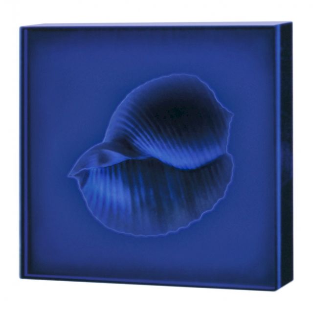 GIULIO DE MITRI, Azzurra, 2006. Courtesy Primo Piano LivinGallery, Italy
